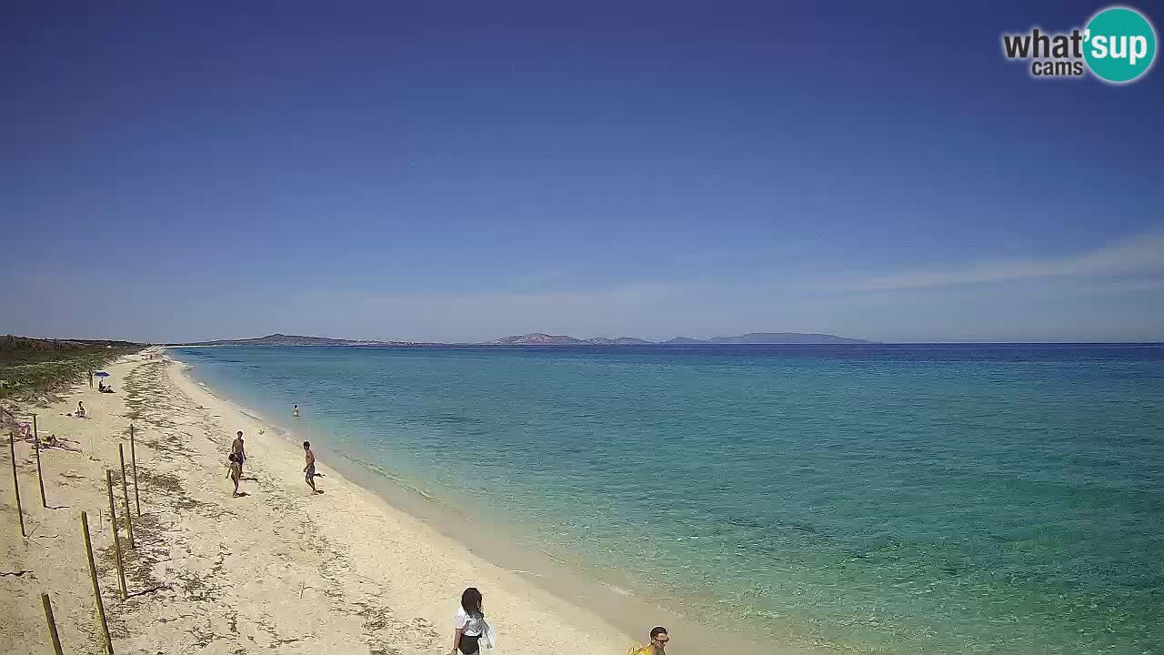Plaža Le Saline spletna kamera Stintino – Sardinija
