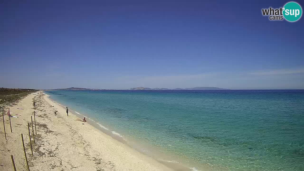 Strand Le Saline webcam Stintino – Sardinien