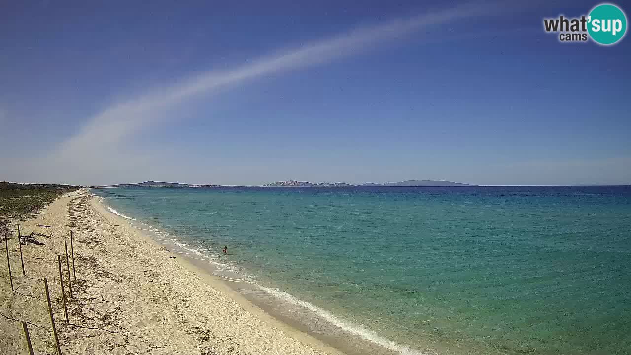 Plage Le Saline Live cam Stintino – Sardaigne