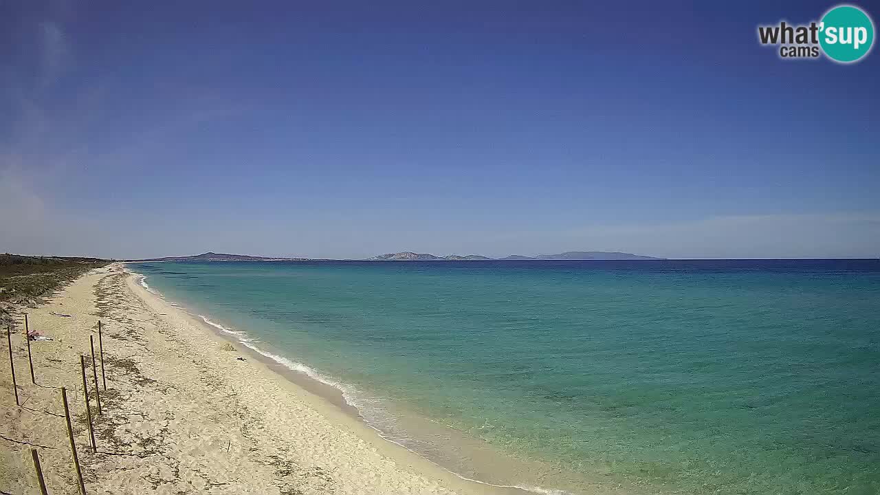 Strand Le Saline webcam Stintino – Sardinien