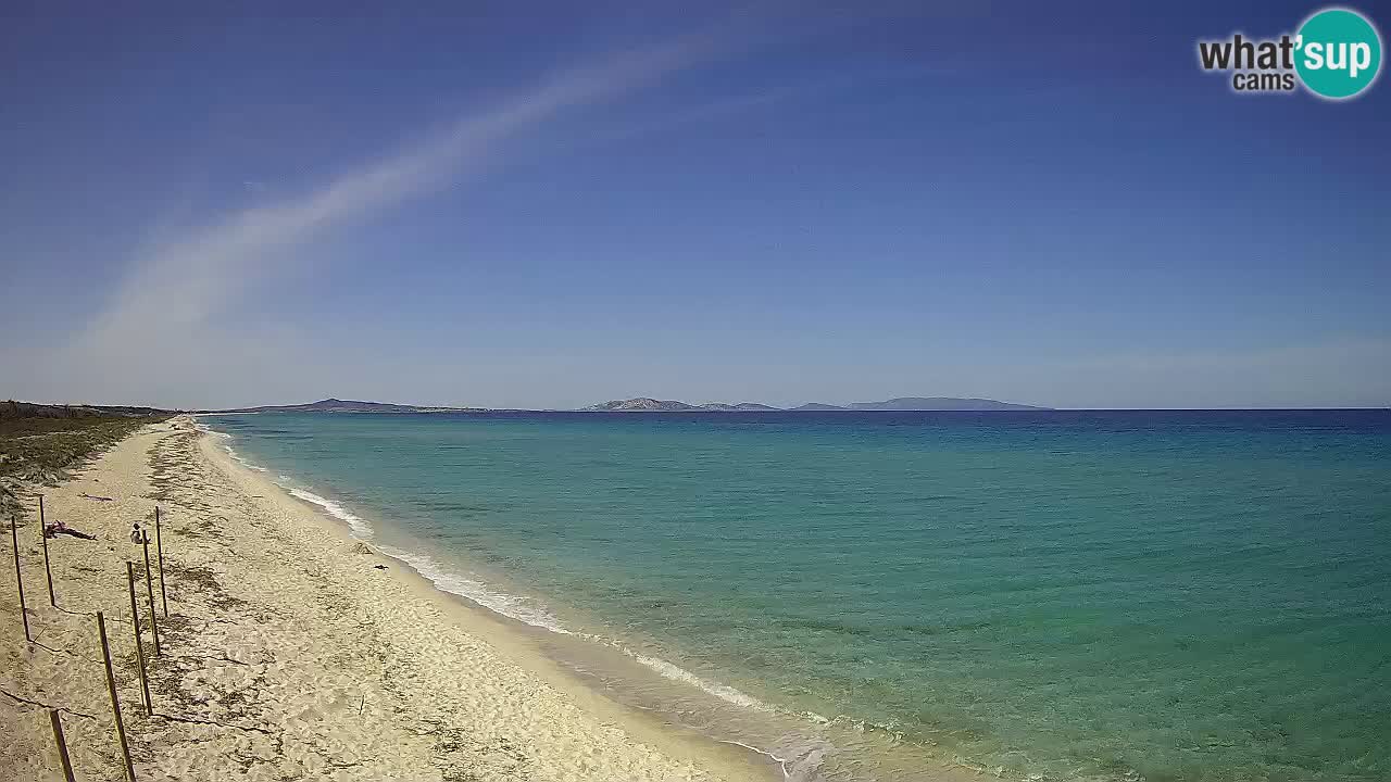 Playa Le Saline camera en vivo Stintino – Cerdeña