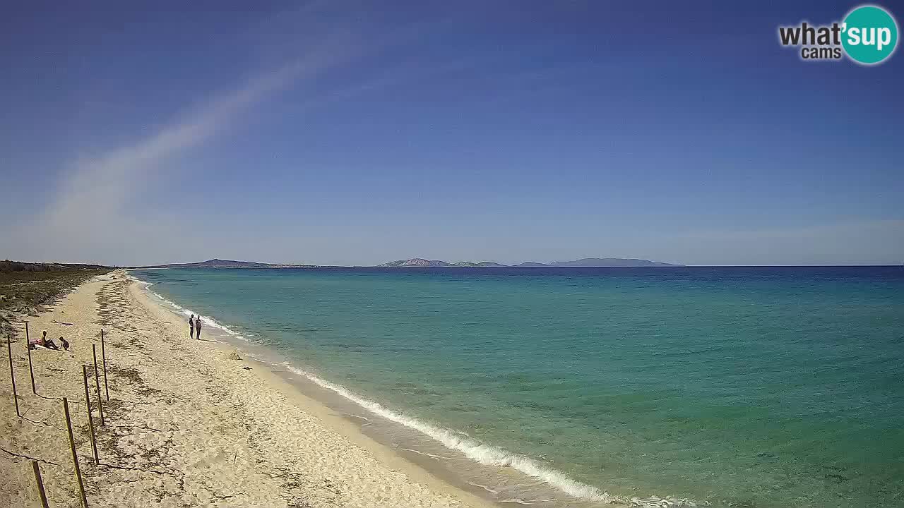 Plage Le Saline Live cam Stintino – Sardaigne