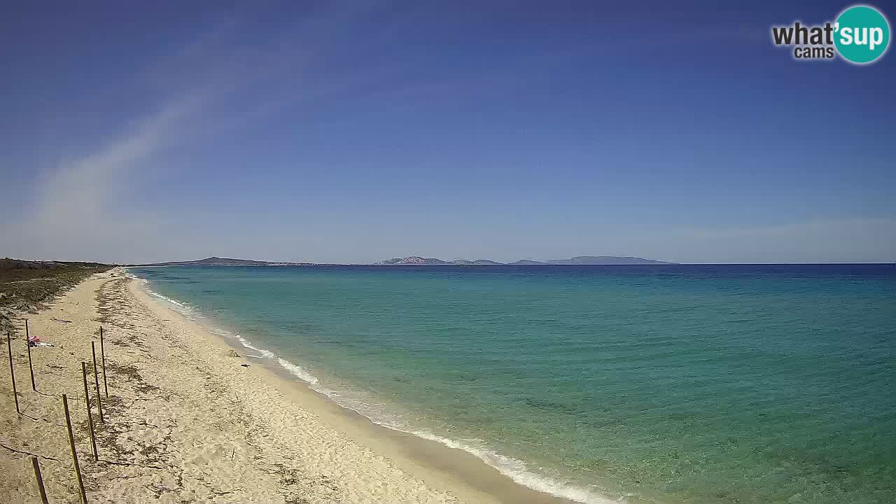 Playa Le Saline camera en vivo Stintino – Cerdeña