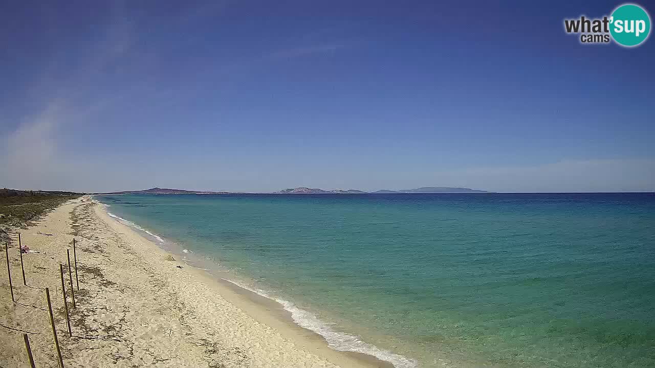 Playa Le Saline camera en vivo Stintino – Cerdeña