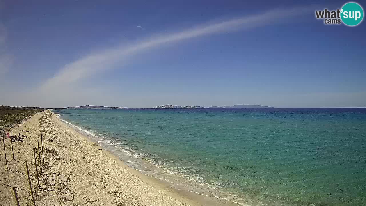 Plaža Le Saline web kamera Stintino – Sardinija