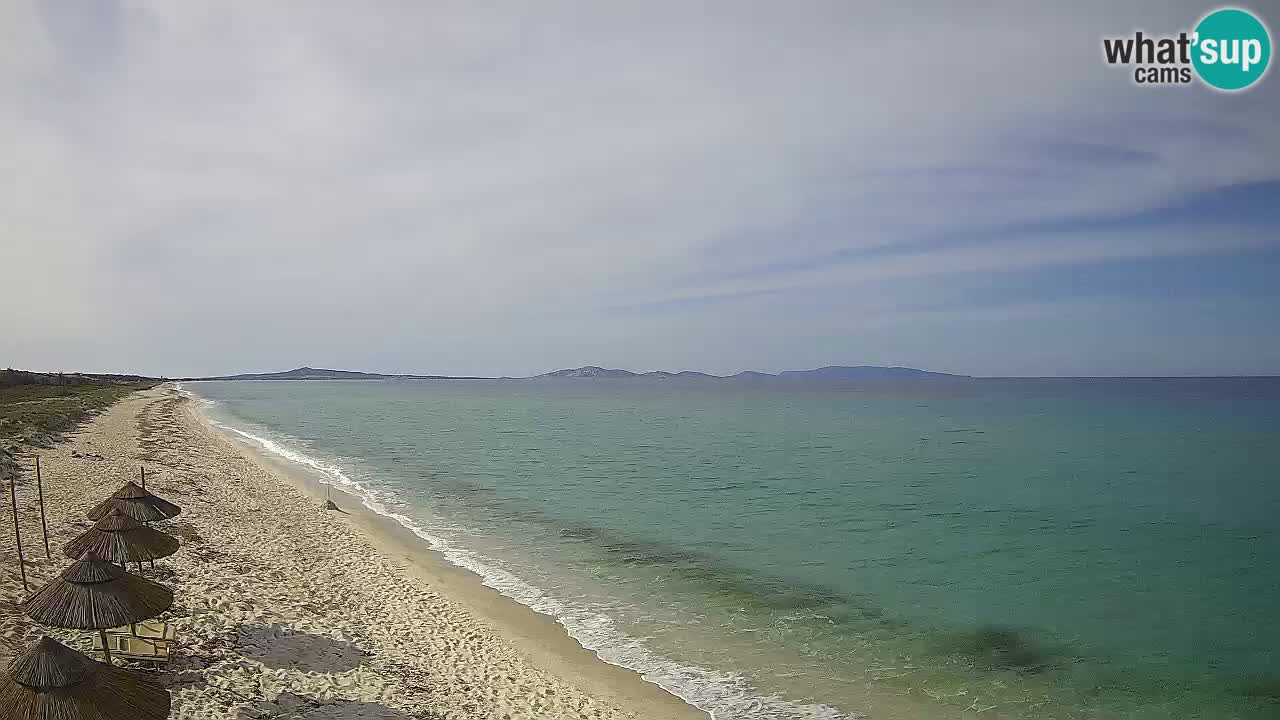 Beach Le Saline webcam live Stintino – Sardinia
