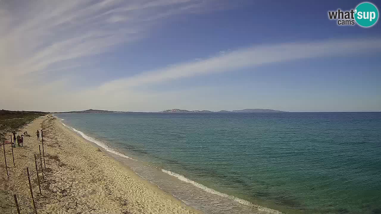Beach Le Saline webcam live Stintino – Sardinia