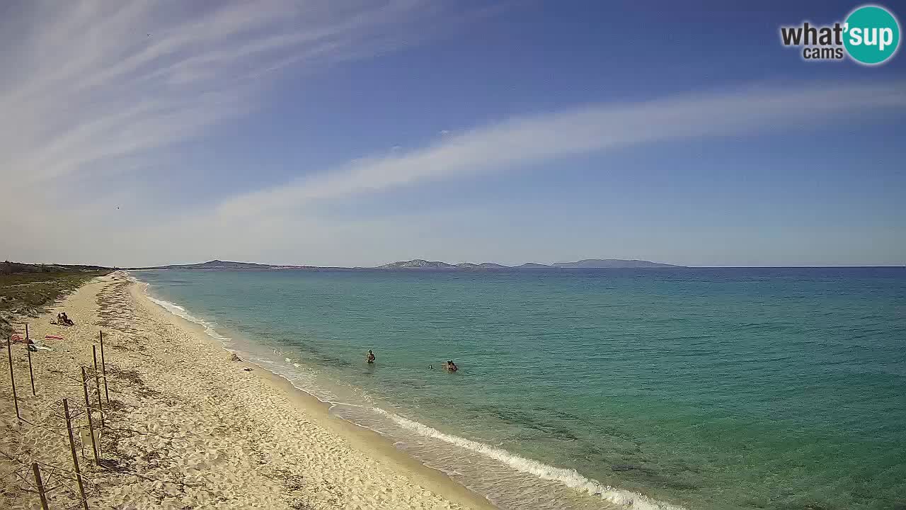 Beach Le Saline webcam live Stintino – Sardinia