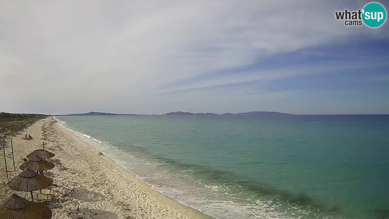 Beach Le Saline webcam live Stintino – Sardinia