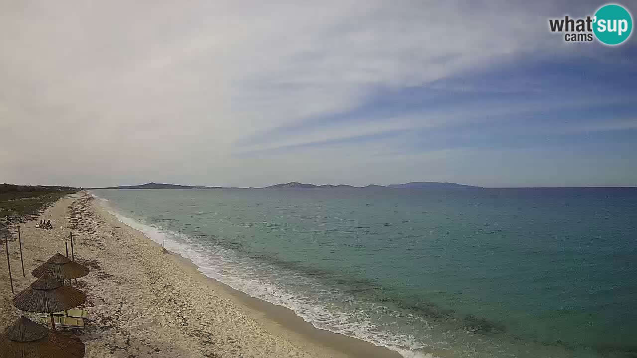 Plaža Le Saline spletna kamera Stintino – Sardinija
