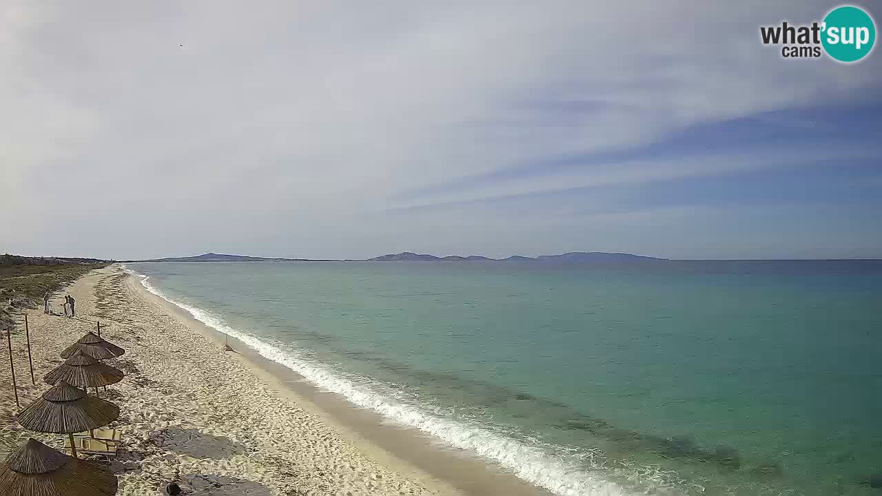 Beach Le Saline webcam live Stintino – Sardinia