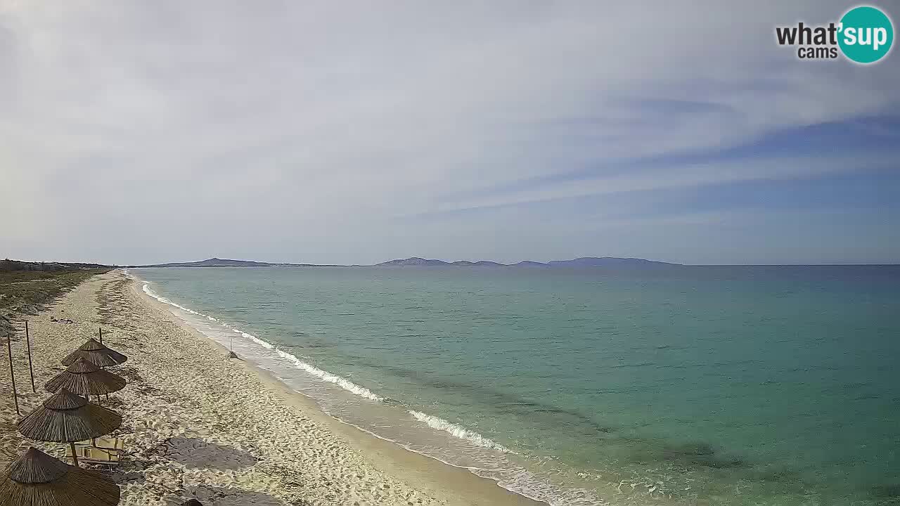 Strand Le Saline webcam Stintino – Sardinien