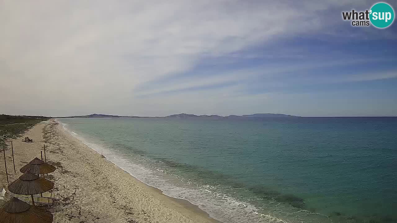 Plage Le Saline Live cam Stintino – Sardaigne