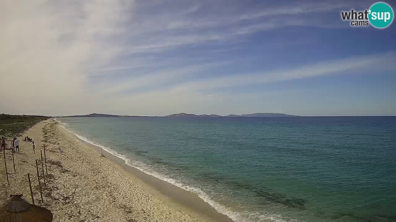 Strand Le Saline webcam Stintino – Sardinien