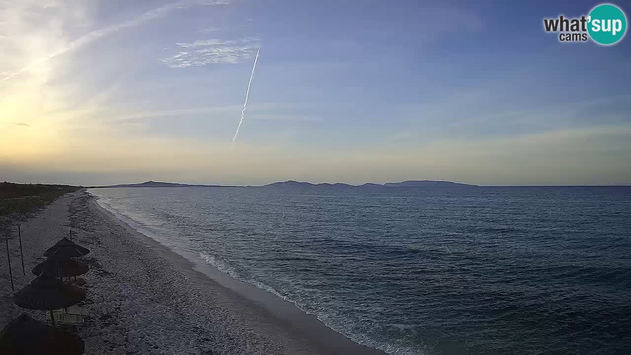 Beach Le Saline webcam live Stintino – Sardinia