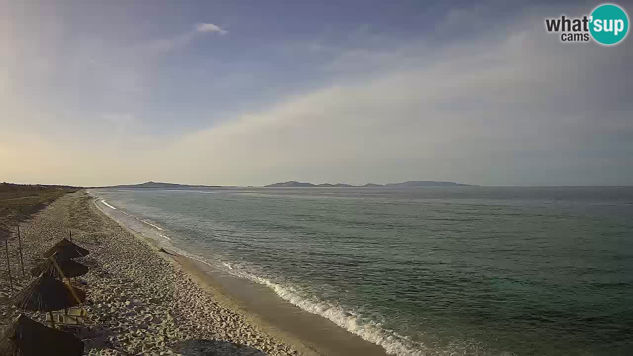 Beach Le Saline webcam live Stintino – Sardinia