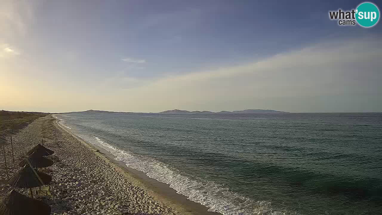 Beach Le Saline webcam live Stintino – Sardinia