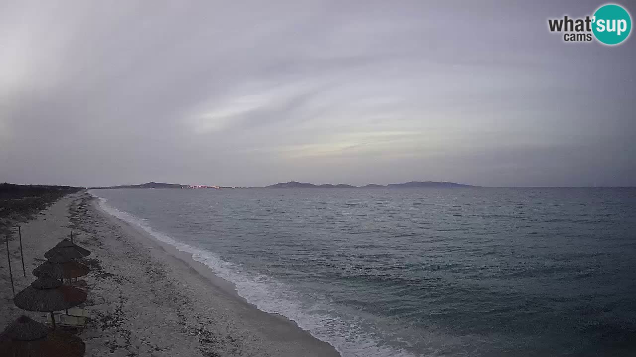Plage Le Saline Live cam Stintino – Sardaigne