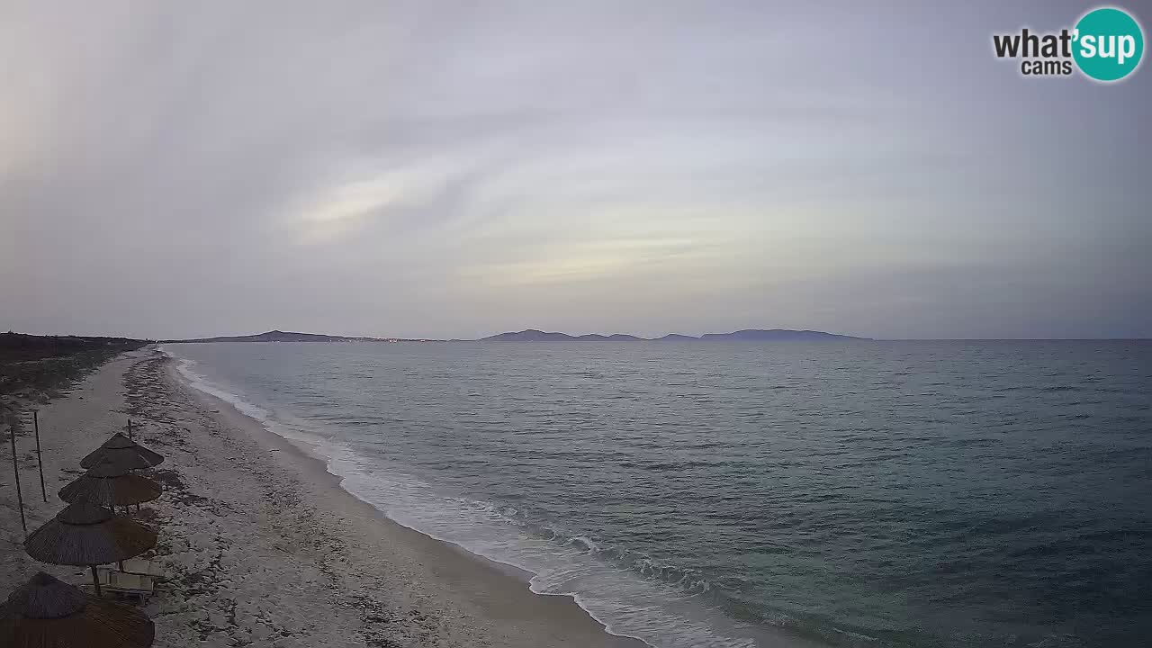 Plage Le Saline Live cam Stintino – Sardaigne