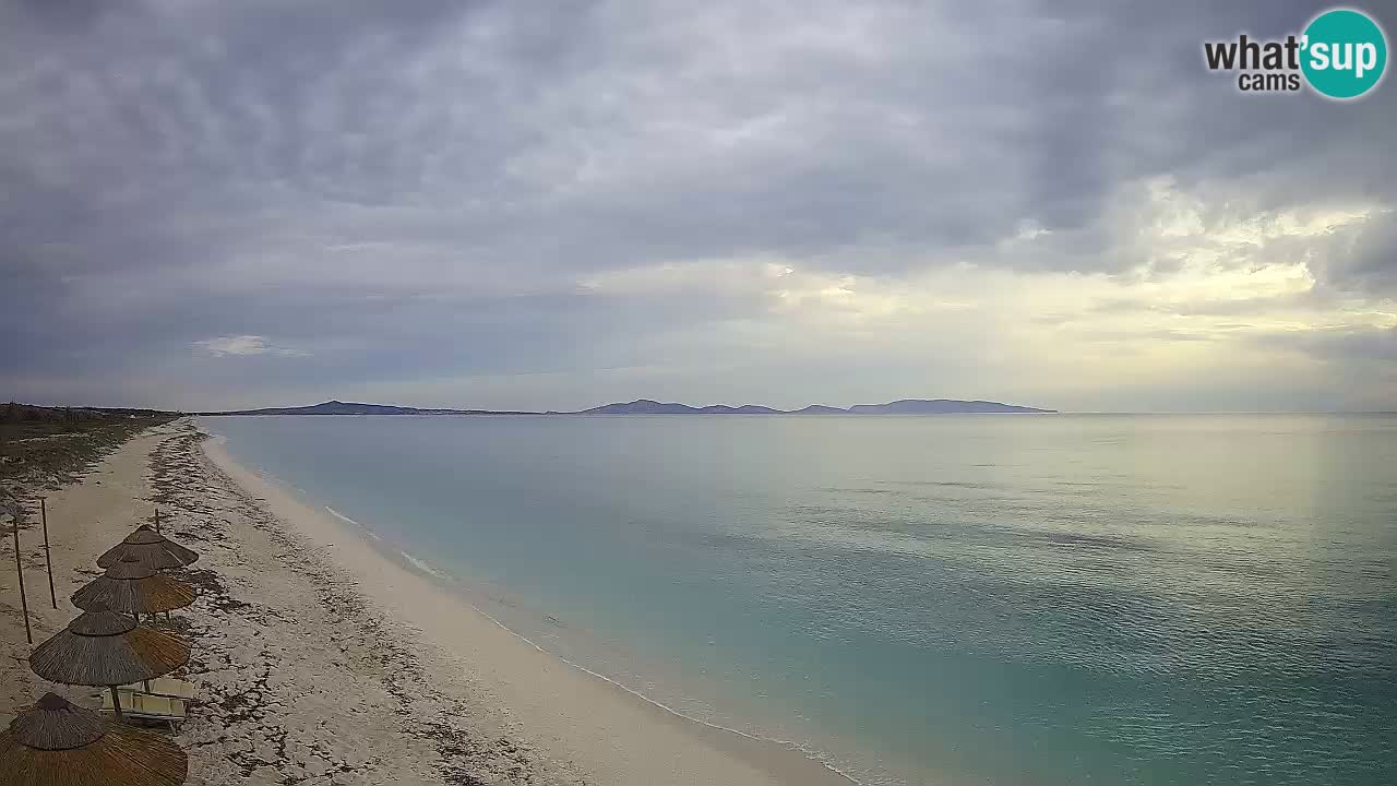 Spiaggia Le Saline webcam Stintino – Sardegna