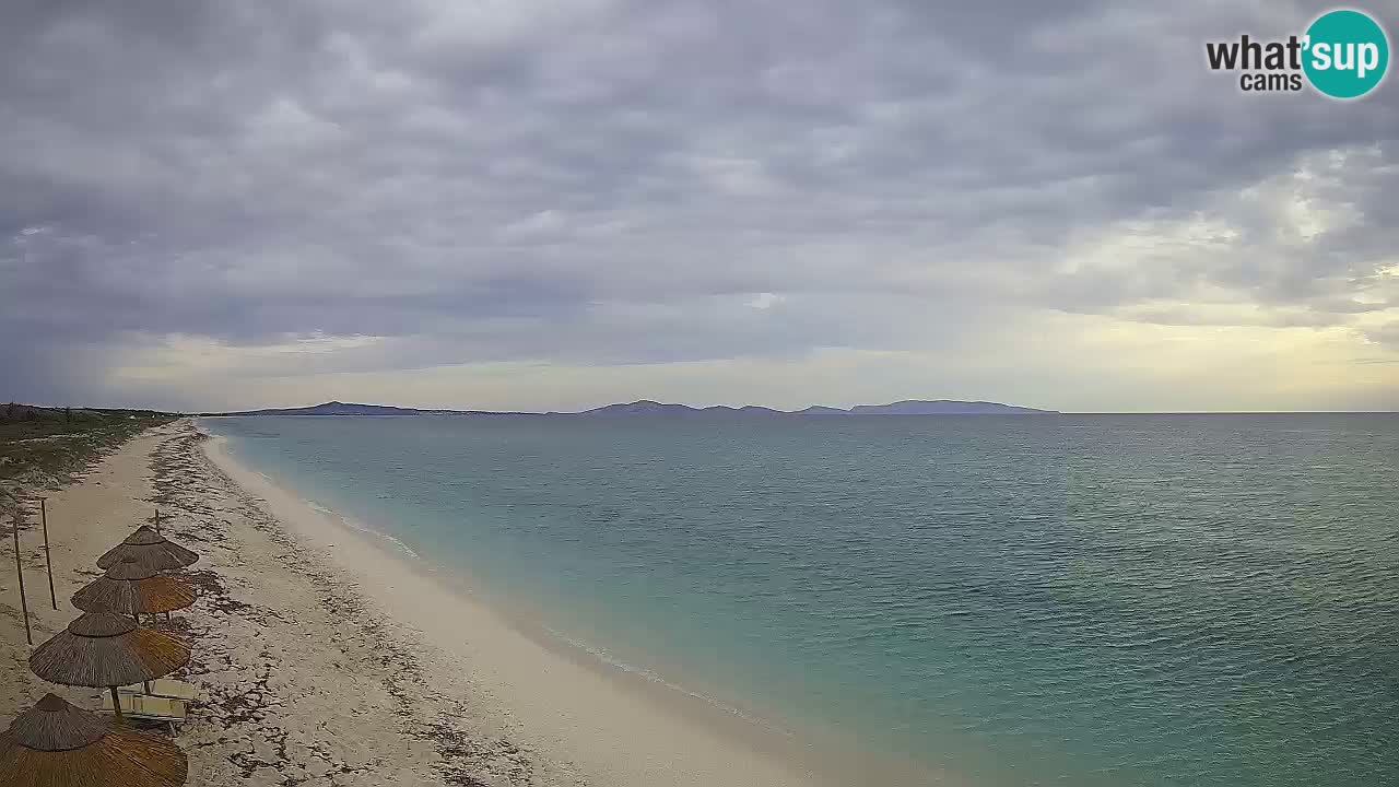 Plaža Le Saline web kamera Stintino – Sardinija