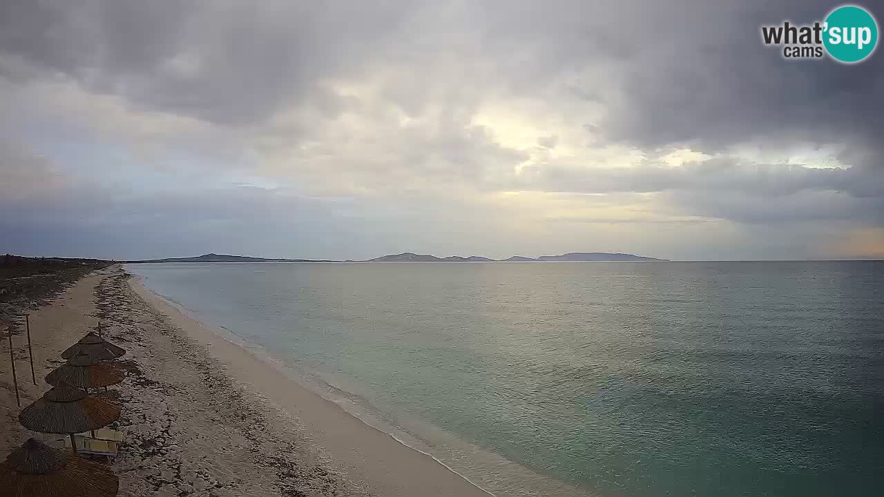 Strand Le Saline webcam Stintino – Sardinien