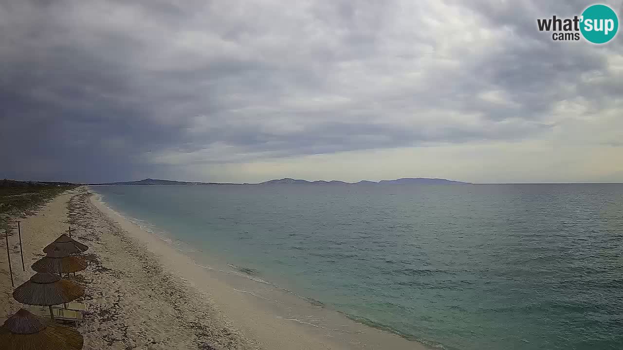Plaža Le Saline web kamera Stintino – Sardinija