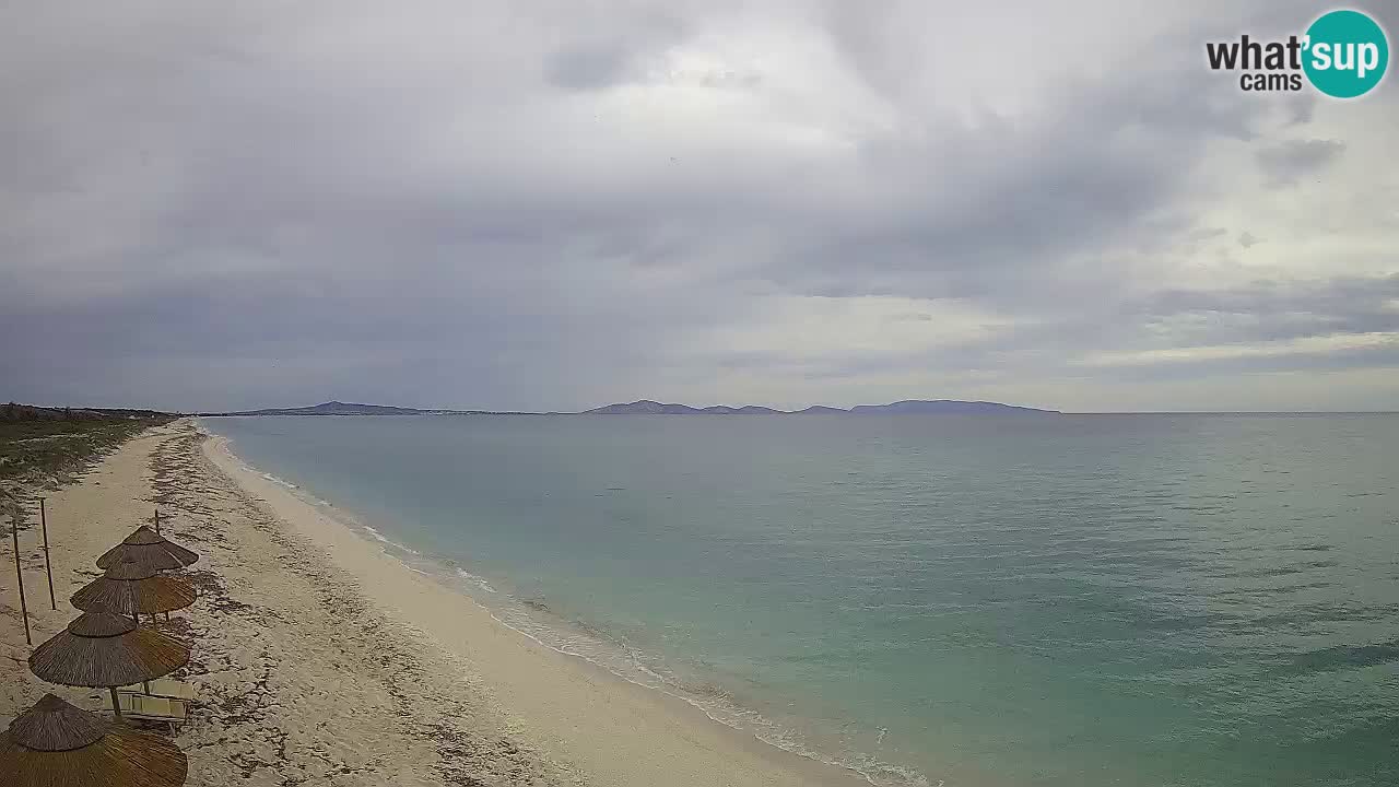 Strand Le Saline webcam Stintino – Sardinien