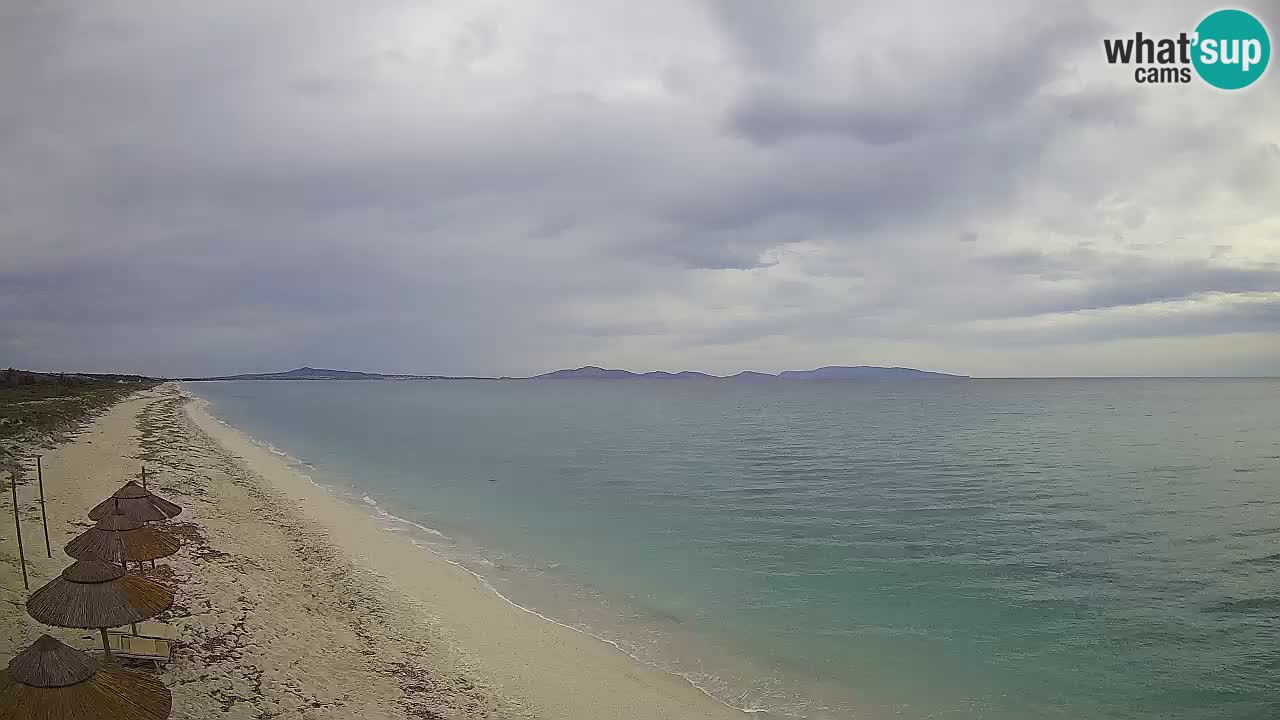 Beach Le Saline webcam live Stintino – Sardinia