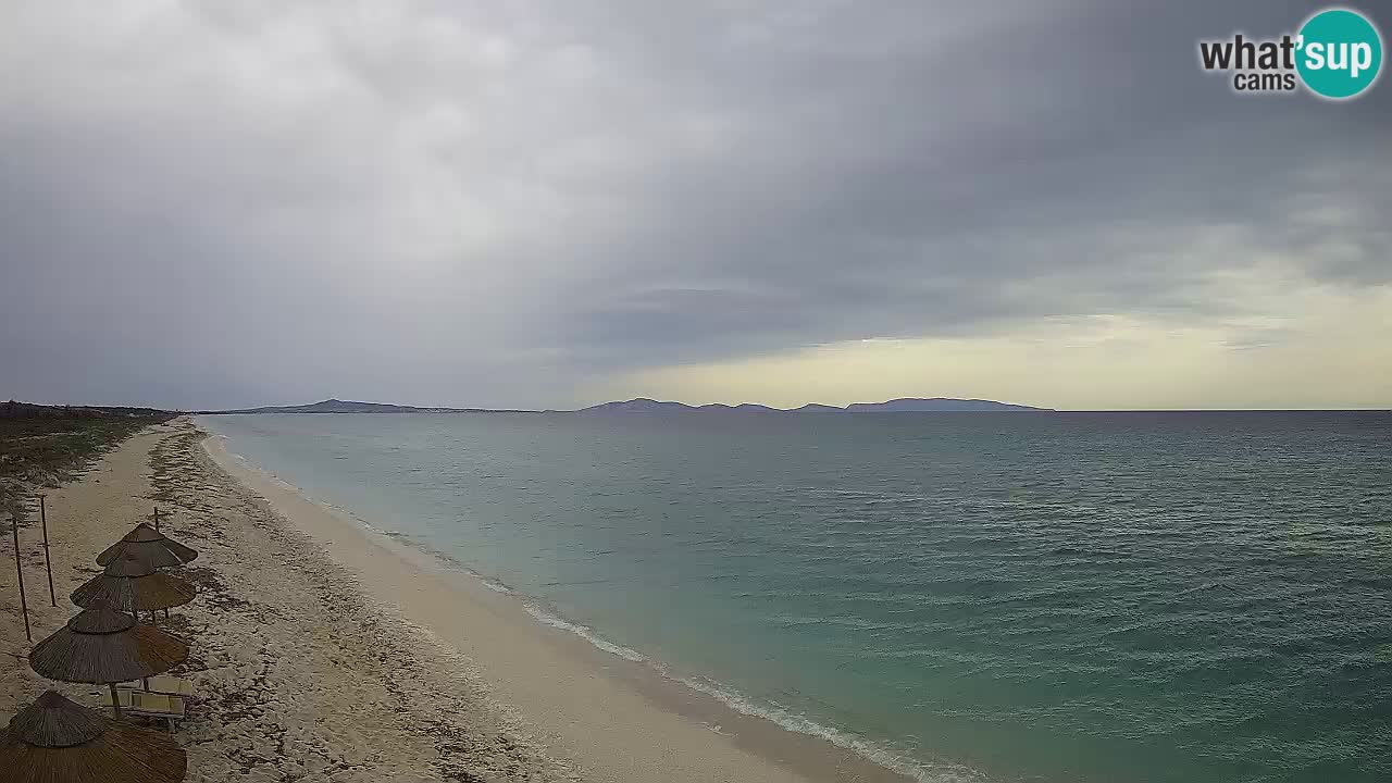 Strand Le Saline webcam Stintino – Sardinien