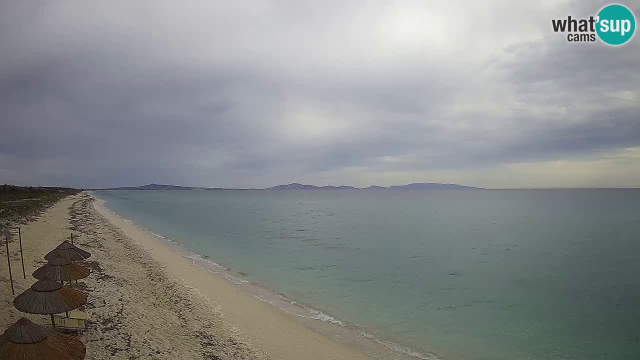 Beach Le Saline webcam live Stintino – Sardinia