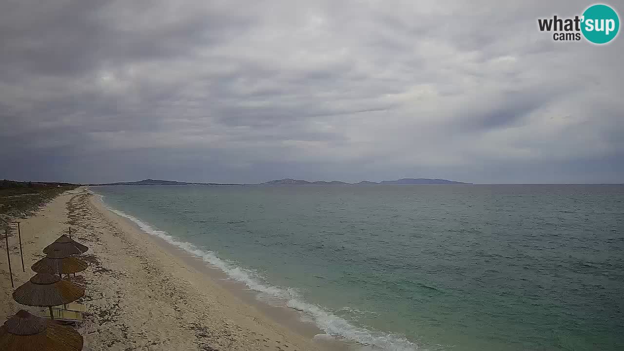 Strand Le Saline webcam Stintino – Sardinien
