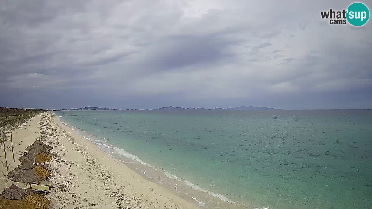 Beach Le Saline webcam live Stintino – Sardinia