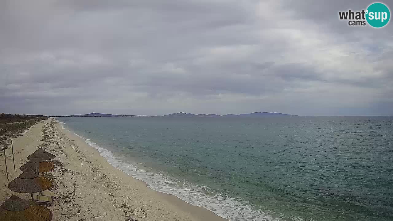 Spiaggia Le Saline webcam Stintino – Sardegna