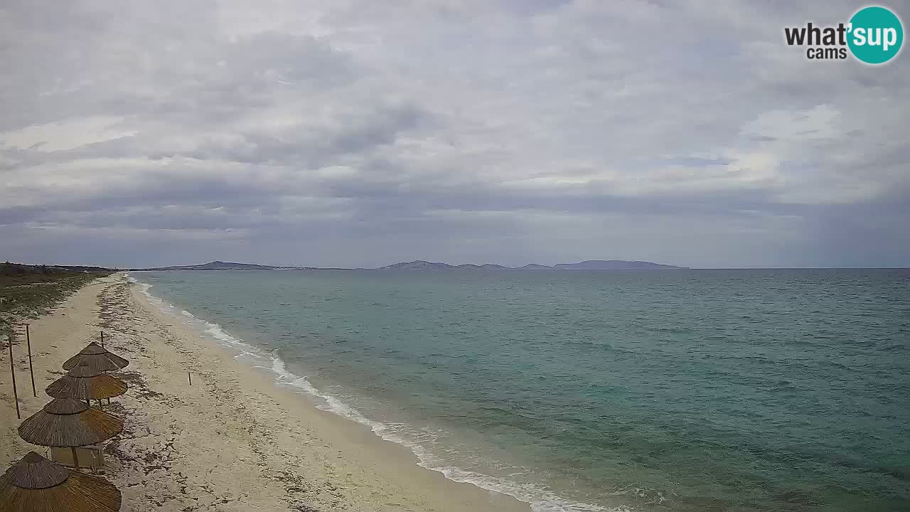 Spiaggia Le Saline webcam Stintino – Sardegna