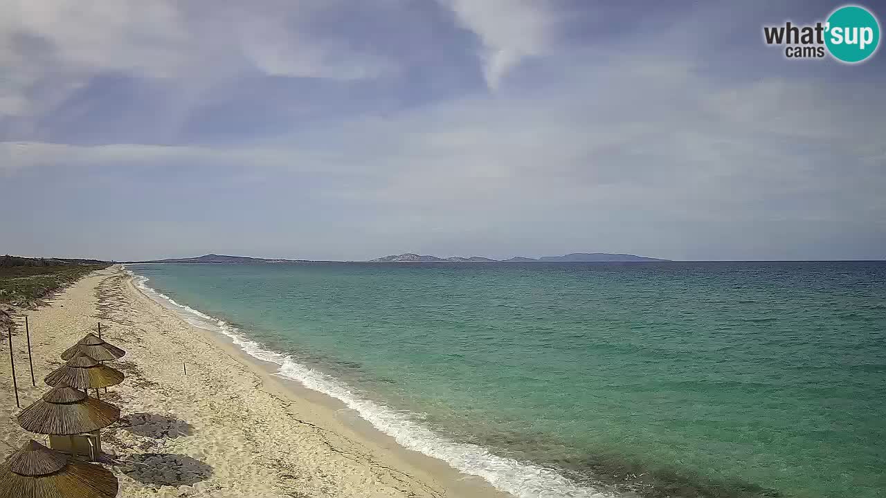 Plaža Le Saline web kamera Stintino – Sardinija