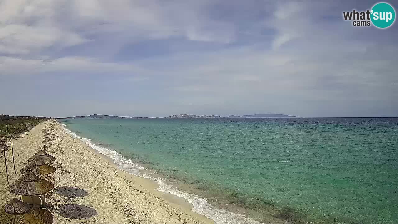 Spiaggia Le Saline webcam Stintino – Sardegna