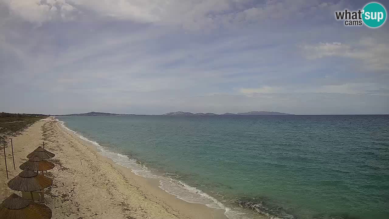 Strand Le Saline webcam Stintino – Sardinien