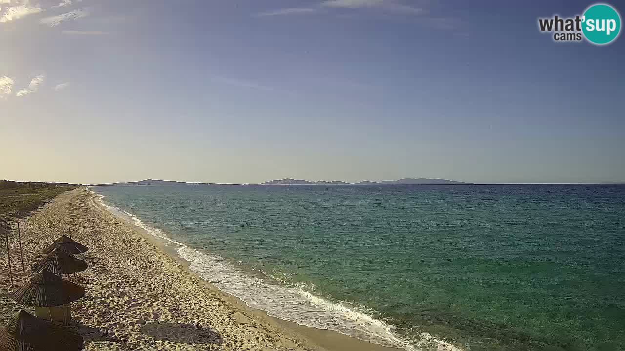 Playa Le Saline camera en vivo Stintino – Cerdeña