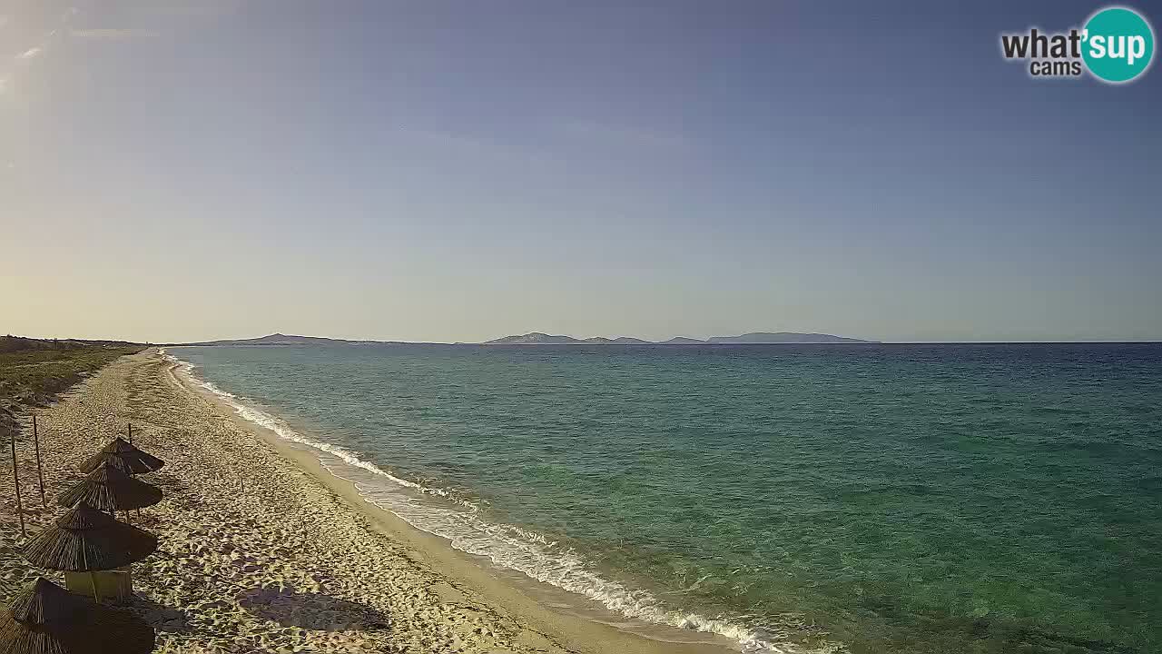 Plaža Le Saline spletna kamera Stintino – Sardinija