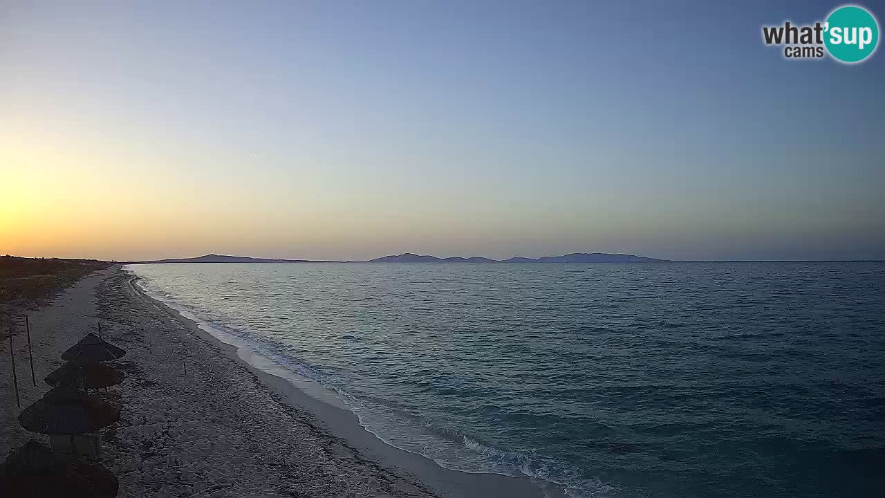 Playa Le Saline camera en vivo Stintino – Cerdeña