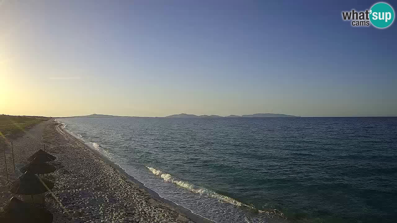 Beach Le Saline webcam live Stintino – Sardinia