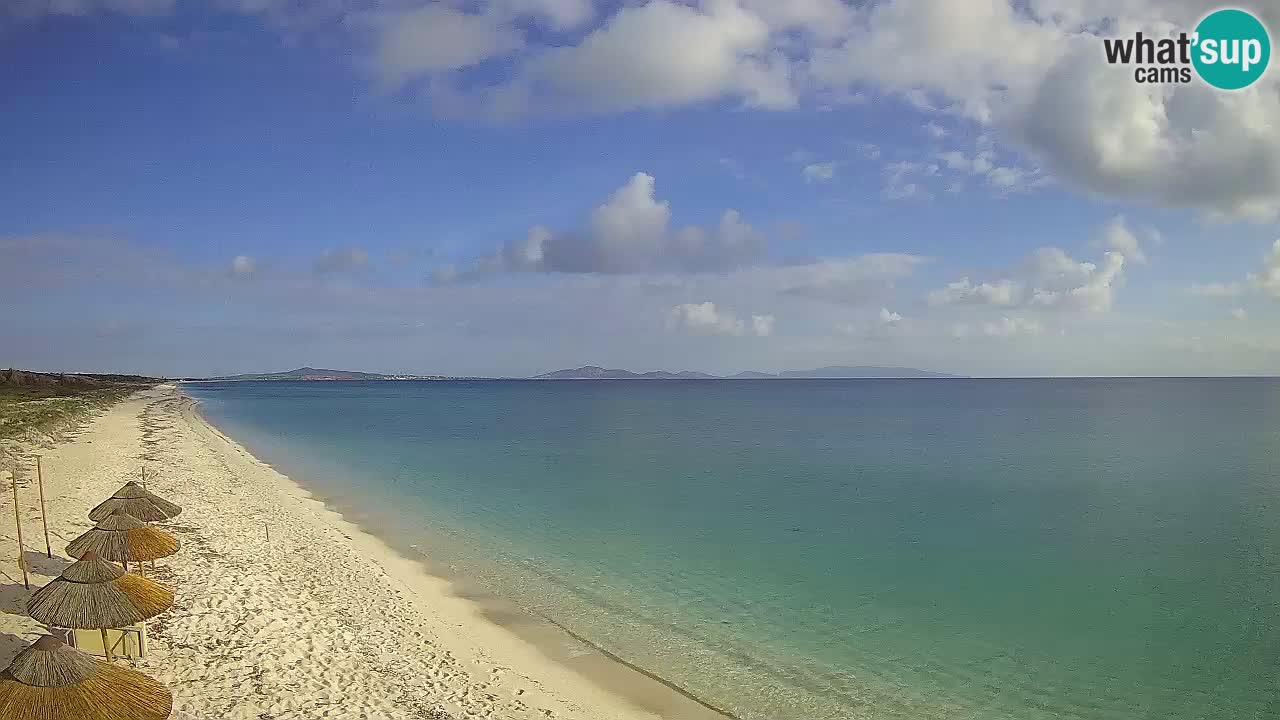 Plaža Le Saline web kamera Stintino – Sardinija