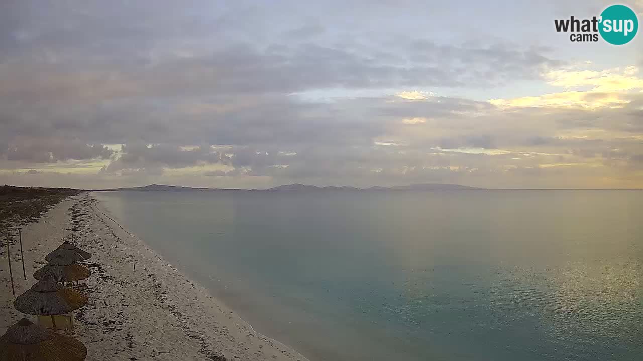Playa Le Saline camera en vivo Stintino – Cerdeña