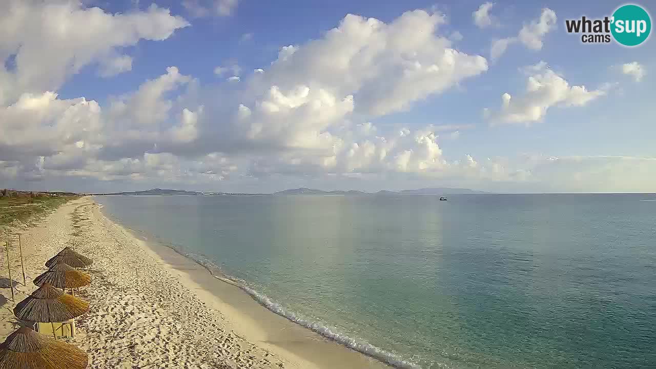 Beach Le Saline webcam live Stintino – Sardinia