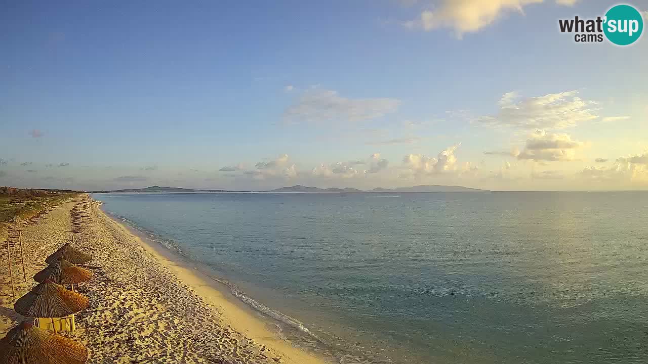 Beach Le Saline webcam live Stintino – Sardinia