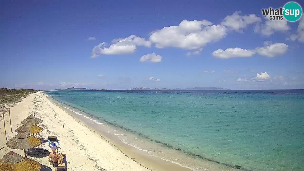 Playa Le Saline camera en vivo Stintino – Cerdeña