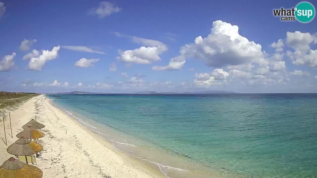 Playa Le Saline camera en vivo Stintino – Cerdeña