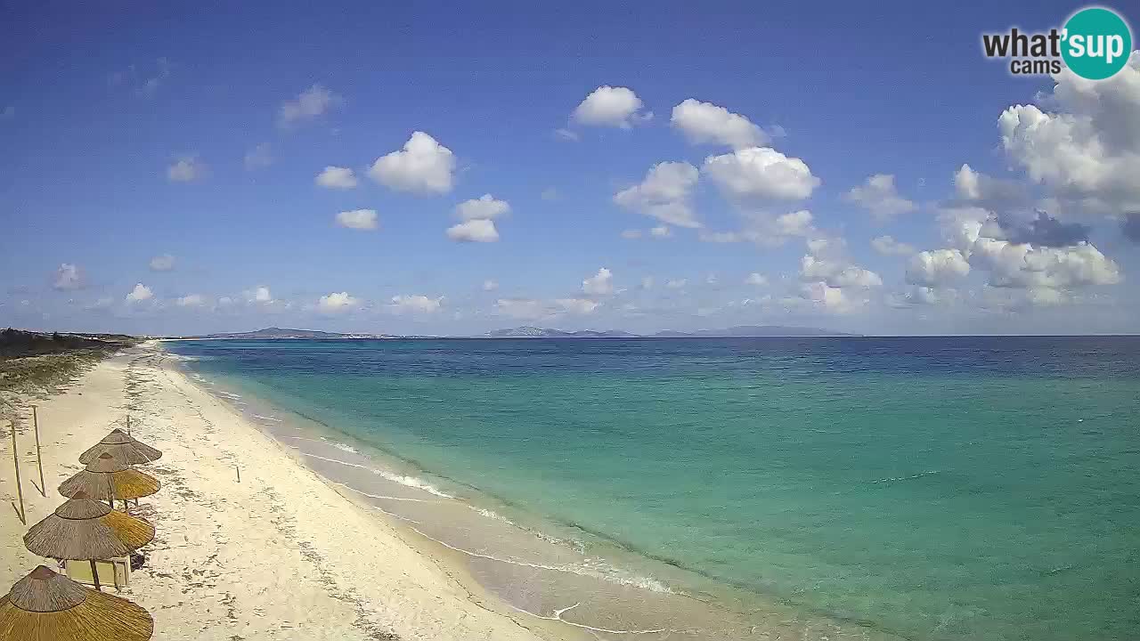 Beach Le Saline webcam live Stintino – Sardinia