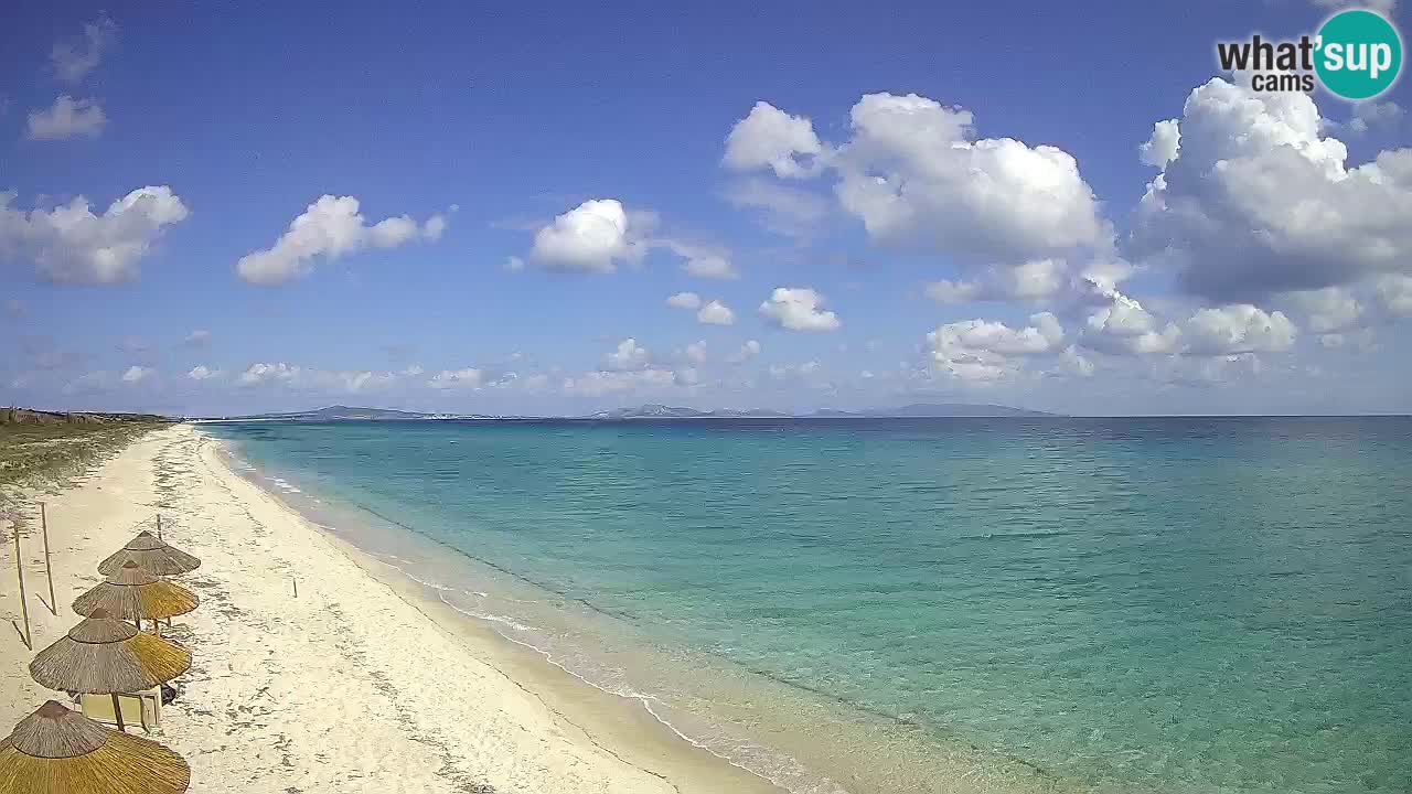 Plage Le Saline Live cam Stintino – Sardaigne